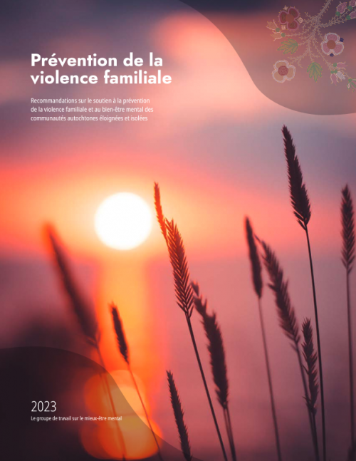 Family Violence Prevention - FR cover